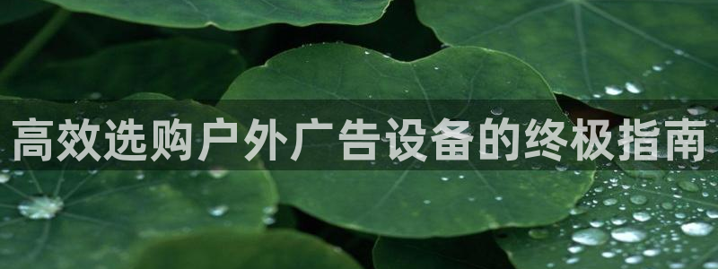 杏宇平台代理怎么样啊