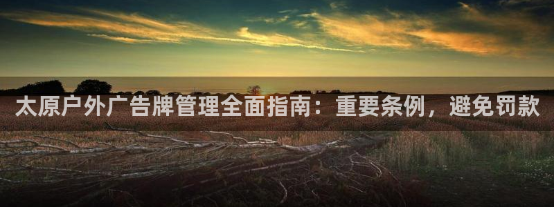 杏宇平台代理多少钱一个