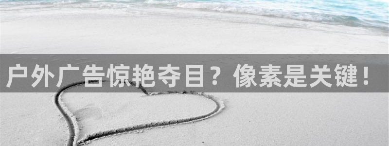 杏宇平台主管