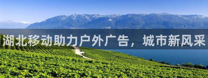 杏宇平台代理