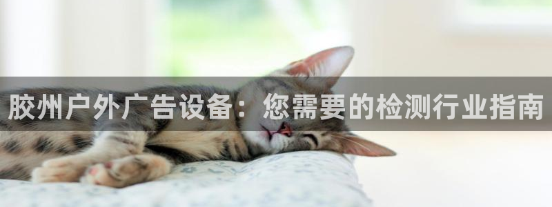 杏宇平台怎么样