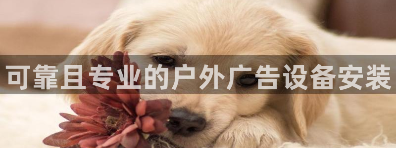 杏宇平台代理怎么赚钱的