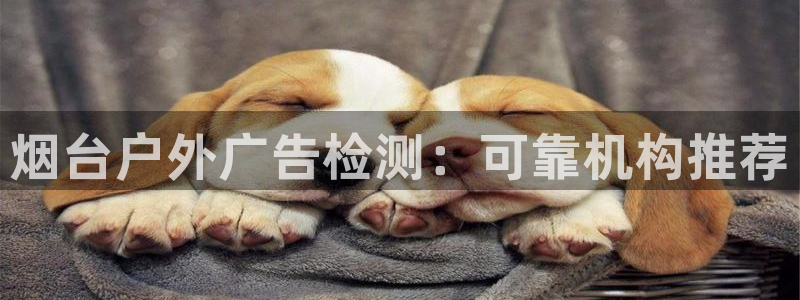杏宇平台总代理是谁
