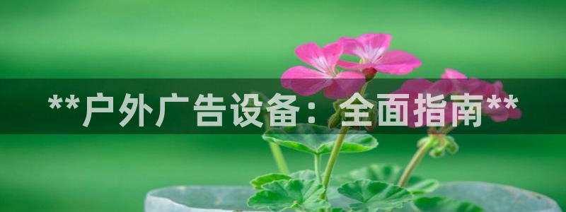 杏宇平台好吗