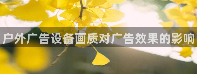 杏宇官方平台官网：户外广告设备画质对广告效果的影响
