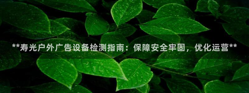 杏宇平台主管：**寿光户外广告设备检测指南：保障安全牢固，优化运营**