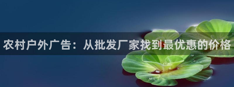 杏宇平台好吗：农村户外广告：从批发厂家找到最优惠的价格