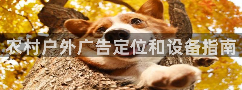 杏宇平台代理怎么赚钱的：农村户外广告定位和设备指南