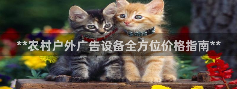 杏宇平台代理怎么赚钱的：**农村户外广告设备全方位价格指南**