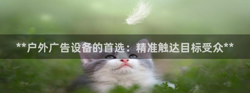 杏宇平台测速链接：**户外广告设备的首选：精准触达目标受众**