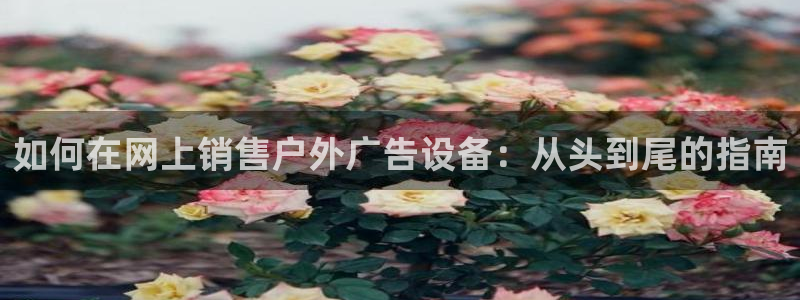 杏宇平台招商怎么样：如何在网上销售户外广告设备：从头到尾的指南