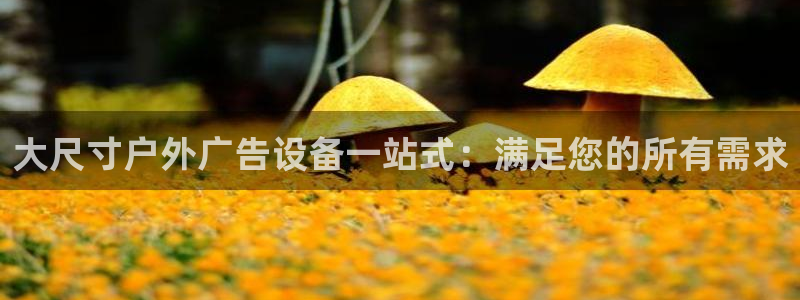杏宇平台代理怎么赚钱快：大尺寸户外广告设备一站式：满足您的所有需求
