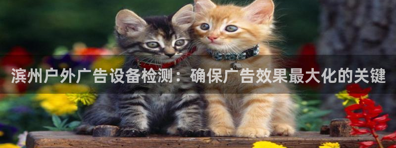 杏宇代理注册：滨州户外广告设备检测：确保广告效果最大化的关键