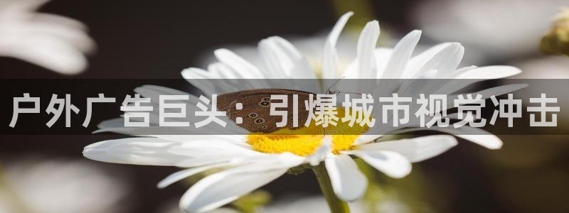 杏宇平台客服