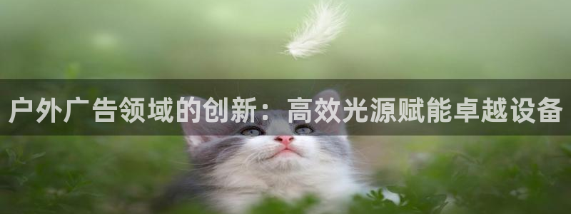 杏宇平台代理怎么样赚钱