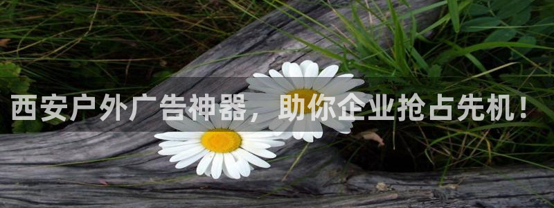 杏宇平台代理怎么赚钱