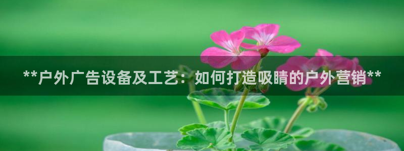 杏宇平台怎么样赚钱