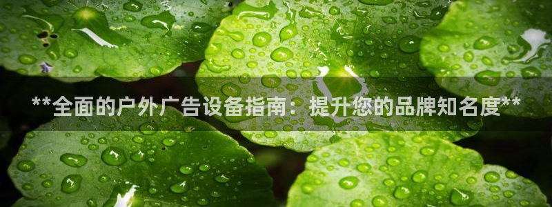 杏宇平台提现为什么这么久呢：**全面的户外广告设备指南：提升您的品牌知名度**