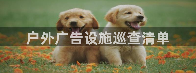 杏宇官方平台官网下载