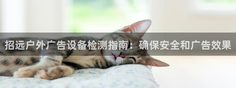 杏宇平台代理怎么样