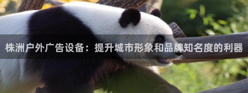 杏宇平台代理多少钱一个月：株洲户外广告设备：提升城市形象和品牌知名度的利器