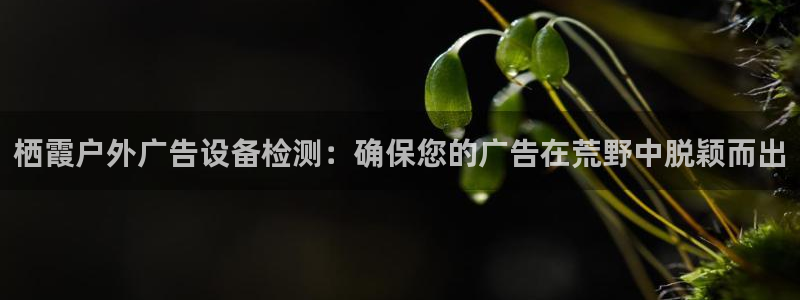 杏宇平台怎么样知乎：栖霞户外广告设备检测：确保您的广告在荒野中脱颖而出