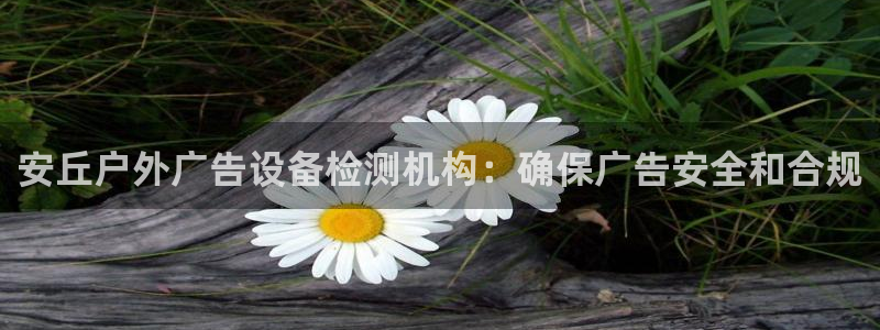 杏宇平台代理怎么样