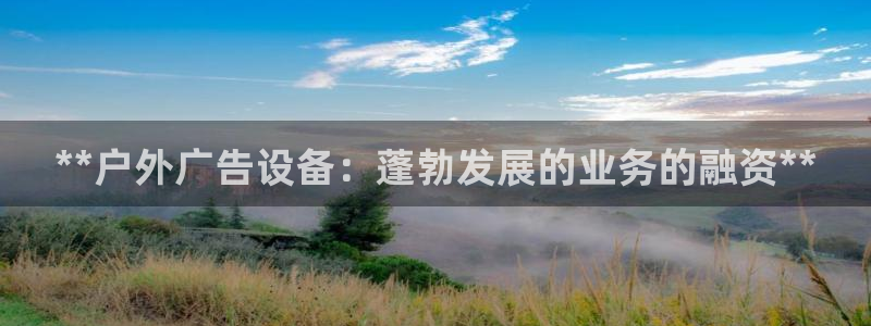 杏宇平台登陆：**户外广告设备：蓬勃发展的业务的融资**