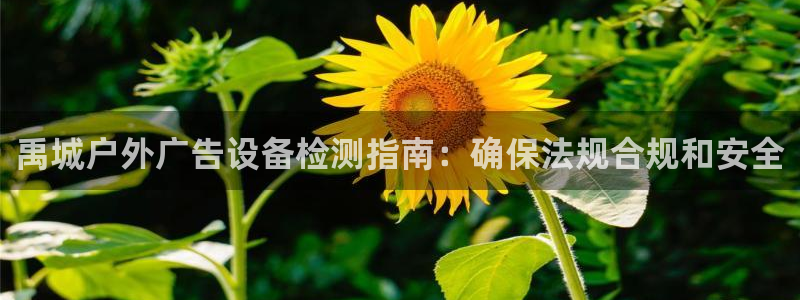 杏宇官方平台官网下载