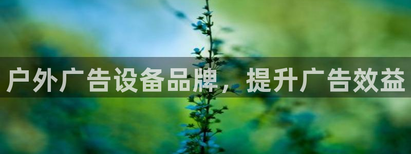 杏宇平台代理怎么样可靠吗