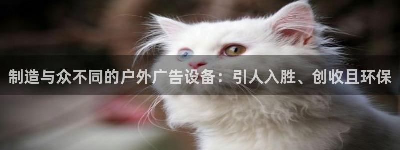 杏宇平台代理怎么赚钱快