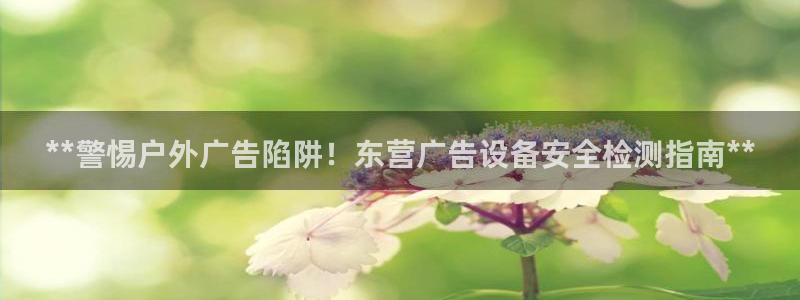 杏宇平台代理怎么样赚钱