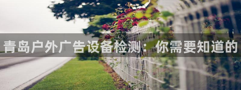 杏宇平台怎么样赚钱