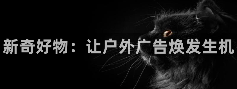 杏宇官方平台官网