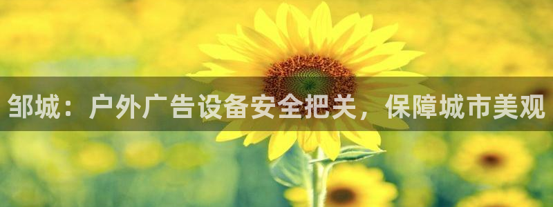 杏宇平台招商