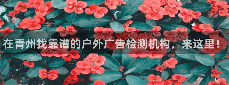 杏宇平台好吗