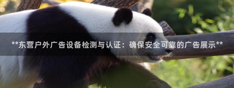 杏宇官方平台官网：**东营户外广告设备检测与认证：确保安全可靠的广告展示**