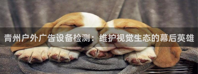 杏宇平台登录步骤图