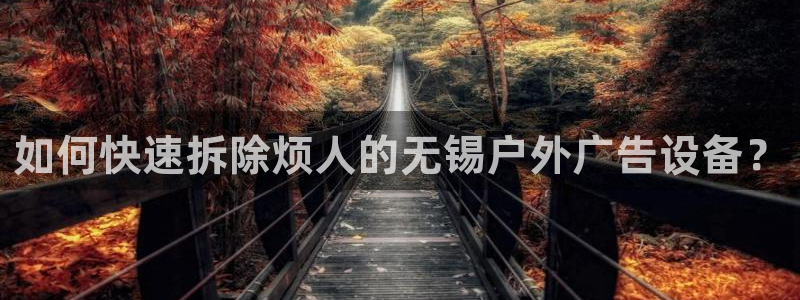 杏宇平台代理怎么赚钱快