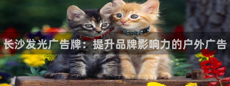 杏宇平台注册地址在哪里：长沙发光广告牌：提升品牌影响力的户外广告