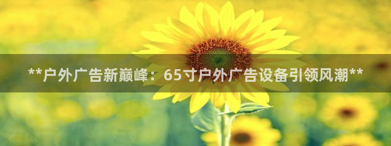 杏宇平台代理多少钱一个月