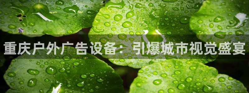 杏宇平台代理怎么赚钱快