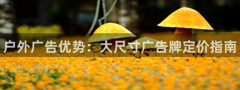 杏宇平台代理怎么样啊