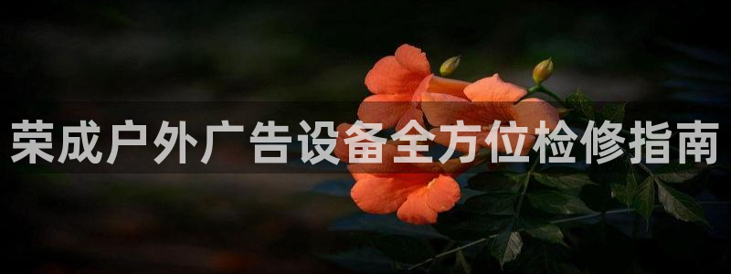 杏宇平台是什么