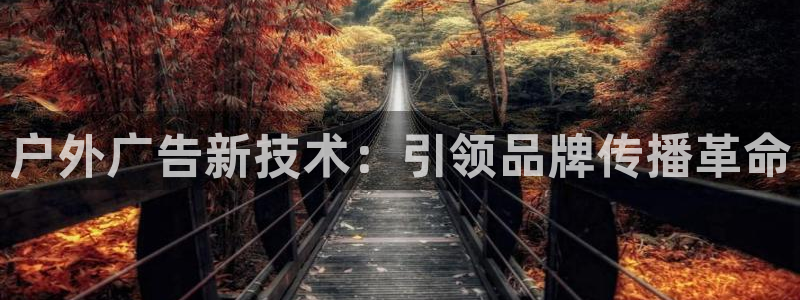 杏宇平台代理怎么赚钱