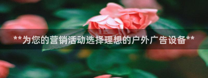 杏宇平台招商：**为您的营销活动选择理想的户外广告设备**