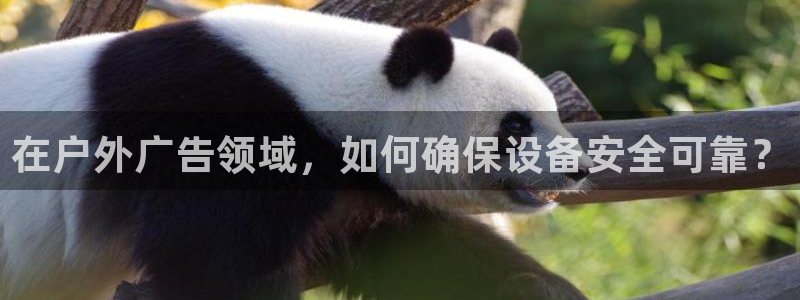 杏宇平台招商电话号码