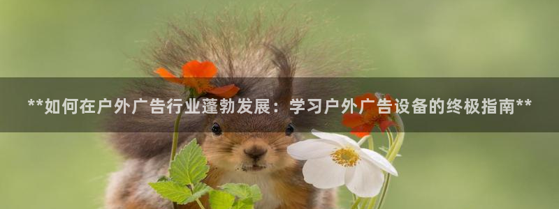 杏宇平台代理怎么样可靠吗：**如何在户外广告行业蓬勃发展：学习户外广告设备的终极指南**
