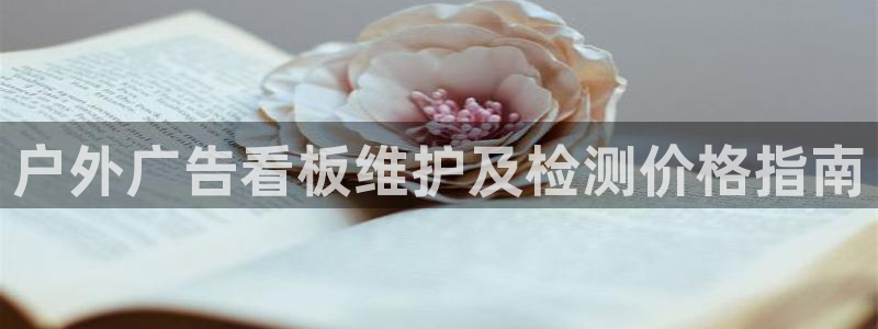 杏宇平台总代理电话