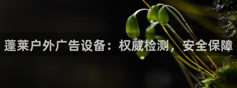 杏宇官方平台官网下载